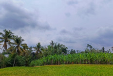Cuaca Kabupaten Malang 28 Oktober 2026: Hujan Ringan di 20 Kecamatan, Poncokusumo 17°C