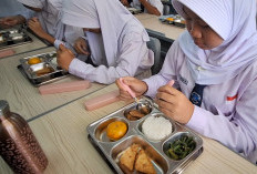 Pemerintah Genjot Program Magang 4 Tahun, Atasi Lulusan SMK Sumbang Pengangguran Tertinggi 