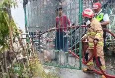 Rumah Kosong Ditinggal Luar Kota Terbakar