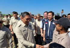 Respon Cepat Keluhan Petani, Wamentan Sudaryono Instruksikan PPL Validasi Data RDKK
