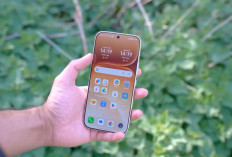 7 HP 1 Jutaan Terbaik April 2026, Speknya Bikin Kaget: Layar 120Hz hingga Baterai 7.000 mAh