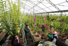 Dadaprejo dan Tulungrejo, Kota Batu, Raih Penghargaan Kelurahan/Desa Berseri Jatim 2025