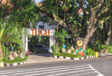 Sektor Wisata Menggeliat, Okupansi Hotel Malang Raya Tumbuh 2,79 Poin