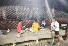 Anak Bebas Pilih Lauk Sepuasnya Cuma Rp2 Ribu di Warung Mbak Sih Pujon 