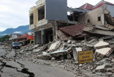 Gempa M7,7 NTT: Korban Meninggal Bertambah Jadi 48 Orang, 9.290 Warga Mengungsi