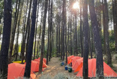 Camping di Lereng Semeru Mulai Rp5.000, Wana Wisata Winong Jadi Hidden Gem Baru Malang