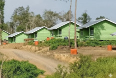  Hari Bhakti Transmigrasi 12 Desember: Ini Sejarahnya dan Beda Transmigrasi Dulu-Kini!