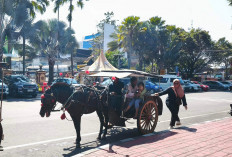 Dokar Wisata Alun-Alun Batu Tetap Eksis, Jadi Favorit Keluarga di Tengah Gempuran Wahana Modern