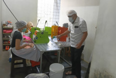 Peternakan Sapi Perah Dusun Brau Terus Berkembang, Pasok Hampir 10 Ribu Liter Susu per Hari untuk Industri-MBG