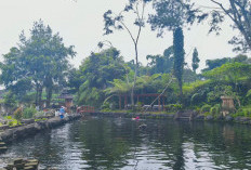 ‎Melawan Sepi, Telaga Madiredo di Pujon Tetap Bertahan dengan Keasrian   ‎