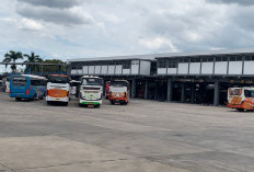 Arus Balik Lebaran di Terminal Arjosari Masih Landai, Lonjakan Diprediksi Mulai 24 Maret