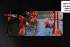 Harga Oppo Reno 12 F 5G Juli 2026 Turun Drastis, HP AMOLED 120 Hz dengan OIS Kini Makin Terjangkau