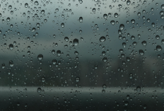 Prediksi Cuaca Malang Raya 8 Januari 2026: Hujan Siang-Sore di Kota Malang, Sebagian Kabupaten, dan Kota Batu