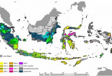 BMKG Peringatkan 16 Provinsi Berpotensi Hujan Hari Ini 23 September, 2 Wilayah Siaga