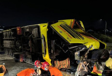 Bus yang Celaka di Tol Semarang Tewaskan 16 Orang, Kemenhub: Sudah Dilarang Beroperasi