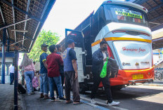 Bus Eksekutif di Jatim Dapat Berkah Lonjakan Harga Tiket Pesawat, Penumpang Melonjak 50 Persen