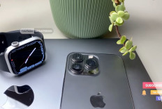 Harga iPhone Turun 2026: 7 Rekomendasi iPhone Murah hingga Flagship, Mulai Rp8 Jutaan!