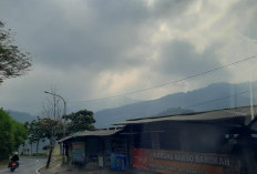 Cuaca Malang Raya Hari Ini 28 Agustus: Kabut, Udara Kabur hingga Suhu 14 Derajat Celsius
