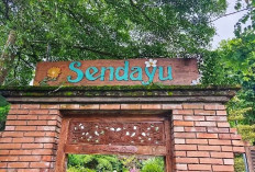 Lataran Sendayu Dau, Destinasi Kuliner 'Hidden Gem' dengan Panorama Lembah 180 Derajat