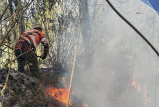 Karhutla Bumiaji Kota Batu Bakar 2,29 Hektare, Api Berhasil Dipadamkan sebelum Meluas