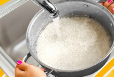 Manfaatkan Sisa Air Cucian Beras Jadi Nutrisi Alami bagi Tanaman di Rumah