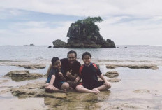 Cerita di Balik Nama Pantai Kondang Merak: Habitat Singgah Satwa Anggun di Selatan Malang