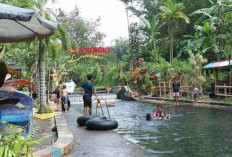 Wisata Air Dam Cokro Karangploso, Pemandian Alami HTM Seikhlasnya Dekat Exit Tol Singosari