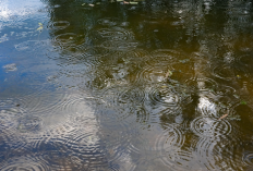 Cuaca Malang Raya 7 Desember 2025 Diprediksi Berawan, Hujan Turun Siang–Sore