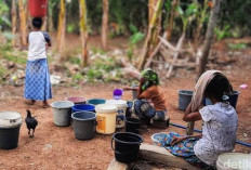 Dosen UB Ingatkan Ancaman Krisis Air Saat El Nino, Gerakan Menabung Air Jadi Solusi