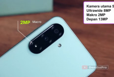 8 HP Kamera Ultrawide Murah yang Patut Dipertimbangkan, Pilih Sesuai Kebutuhanmu
