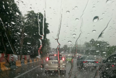 Cuaca Malang Raya 10 Februari 2026: Dominan Hujan Ringan, Udara Relatif Adem, Angin Kecepatan Rendah 