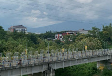 Cuaca Kota Malang Senin 31 Agustus Cerah, Suhu Tembus 30°C di Kedungkandang dan Sukun