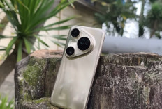 7 HP Kamera Terbaik 2026, iPhone 17 Pro Max hingga Xiaomi 15 Ultra Bikin Flagship Lain Minder