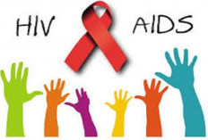 Wali Kota Malang Perintahkan Sosialisasi Cegah LGBT, Dinkes Catat 97 Kasus HIV Baru hingga Mei 2026