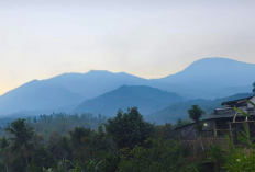 Cuaca Malang Raya 7 Agustus 2026: Kabut Tebal, Suhu Dingin, Waspadai Angin Kencang