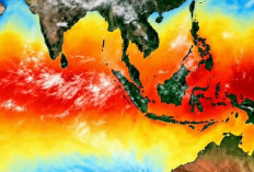 El Niño hingga Awal 2027, Indonesia Diproyeksikan Hadapi 19.300 Kematian Akibat Panas