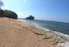 Agar Pelesiran Aman dan Nyaman, ini Tips dan Imbauah Penting Pengunjung Pantai Jembatan Panjang Malang