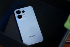 9 HP Oppo Reno Terbaik 2026, Ini Rekomendasi Oppo Reno Series untuk Kamera dan Performa Andal