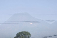 Bendera Merah Putih Raksasa 1.000 Meter Persegi Membentang di Lereng Panderman, Tradisi 14 Tahun