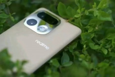 HP Realme Terbaik 2026: 11 Rekomendasi Terbaru dari Harga 1 Jutaan hingga Flagship