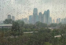 Cuaca Malang Raya 4 Februari 2026: Hujan Ringan dan Angin Kecepatan Sedang, Waspada Perubahan Cuaca Drastis  