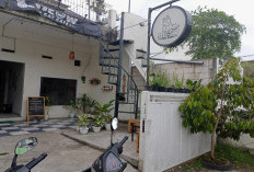 Meow Cat Cafe Malang: Ruang Nyaman Bersama Kucing-Kucing Menggemaskan