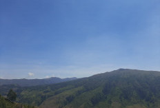 Cuaca Malang Raya 27 Agustus: Cerah hingga Kabut, Suhu 13-31°C