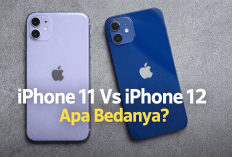 Sering Dikira Sama karena Kamera, Ini Perbedaan Nyata iPhone 11 dan iPhone 12