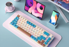 Keyboard Compact 2025: 9 Rekomendasi Terbaik untuk iPad & Laptop, Nyaman, Portabel, dan Terjangkau