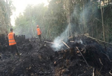 Karhutla Mengintai Kota Batu, Puntung Rokok dan Api Unggun Jadi Ancaman Serius