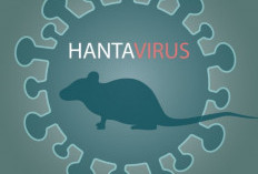 Dinkes Kota Malang Ingatkan Risiko Hantavirus saat Bersihkan Gorong-Gorong, Warga Diminta Pakai APD