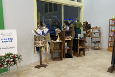 Galeri Mbois Dinilai Jadi Terobosan Positif bagi Wisata Kayutangan