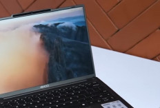 Laptop 14 Inch 2026: Pilih Sesuai Kebutuhan, dari Mahasiswa hingga Kreator