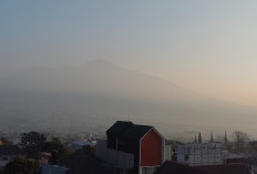 Prakiraan Cuaca Kota Batu 10 Oktober. Prakiraan Kabut di Kota, Awan Tebal di Bumiaji dan Junrejo